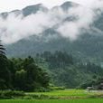 上堡村(山西省呂梁市汾陽市杏花村鎮下轄村)