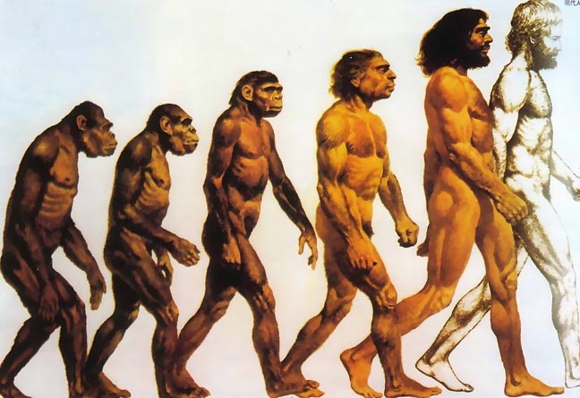 從猿到人的進化
