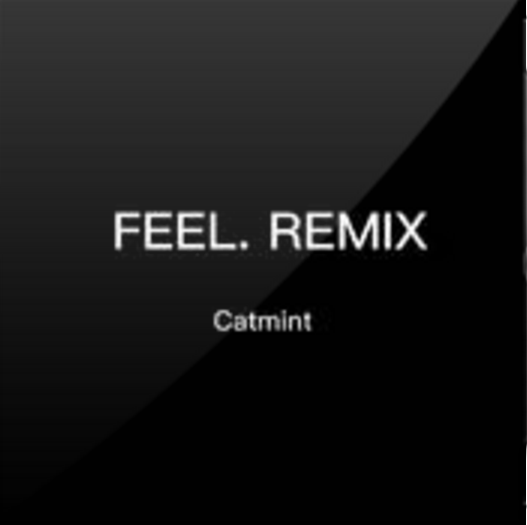FEEL. REMIX FEEL. REMIX