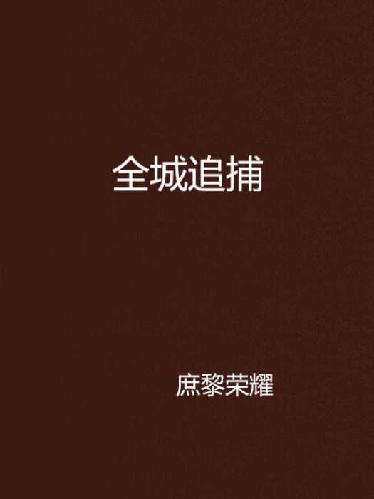 全城追捕 全城追捕