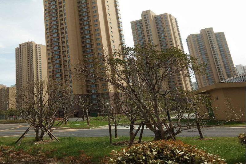 毛灣家園 毛灣家園