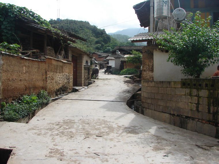 水灣村(雲南省玉溪市峨山縣化念鎮下轄村) 水灣村(雲南省玉溪市峨山縣化念鎮下轄村)