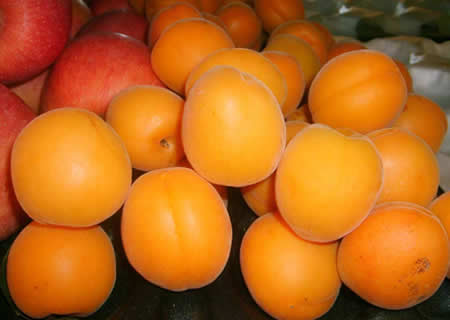 石片黃杏