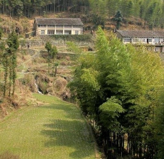 桂川古道 桂川古道