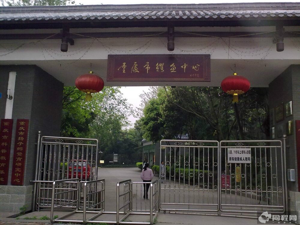 重慶鱷魚中心