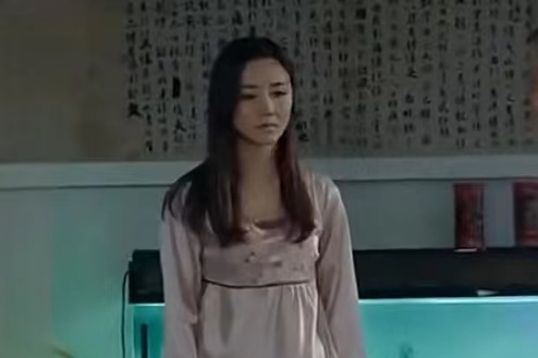 鄭艷紅(農村喜劇《歡天喜地對親家》中的角色) 鄭艷紅(農村喜劇《歡天喜地對親家》中的角色)