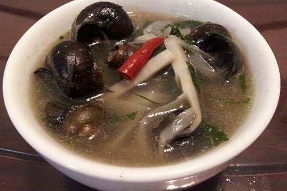 田螺益母湯 田螺益母湯