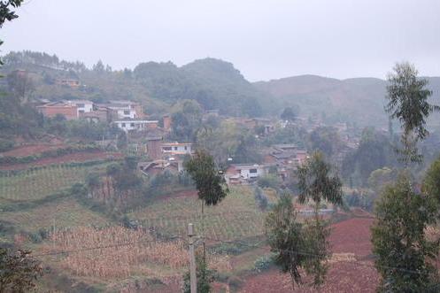 路丫村 路丫村