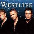 When You Tell Me That You Love Me(Westlife演唱歌曲) When You Tell Me That You Love Me(Westlife演唱歌曲)