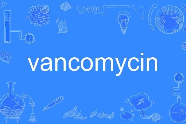 vancomycin vancomycin