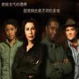 骨跡迷蹤(Bonekickers) 骨跡迷蹤(Bonekickers)