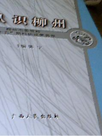 認識柳州 認識柳州