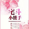 宅斗小能手 宅斗小能手