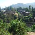 中嶺自然村(雲南省德宏州盈江縣支那鄉中嶺自然村) 中嶺自然村(雲南省德宏州盈江縣支那鄉中嶺自然村)