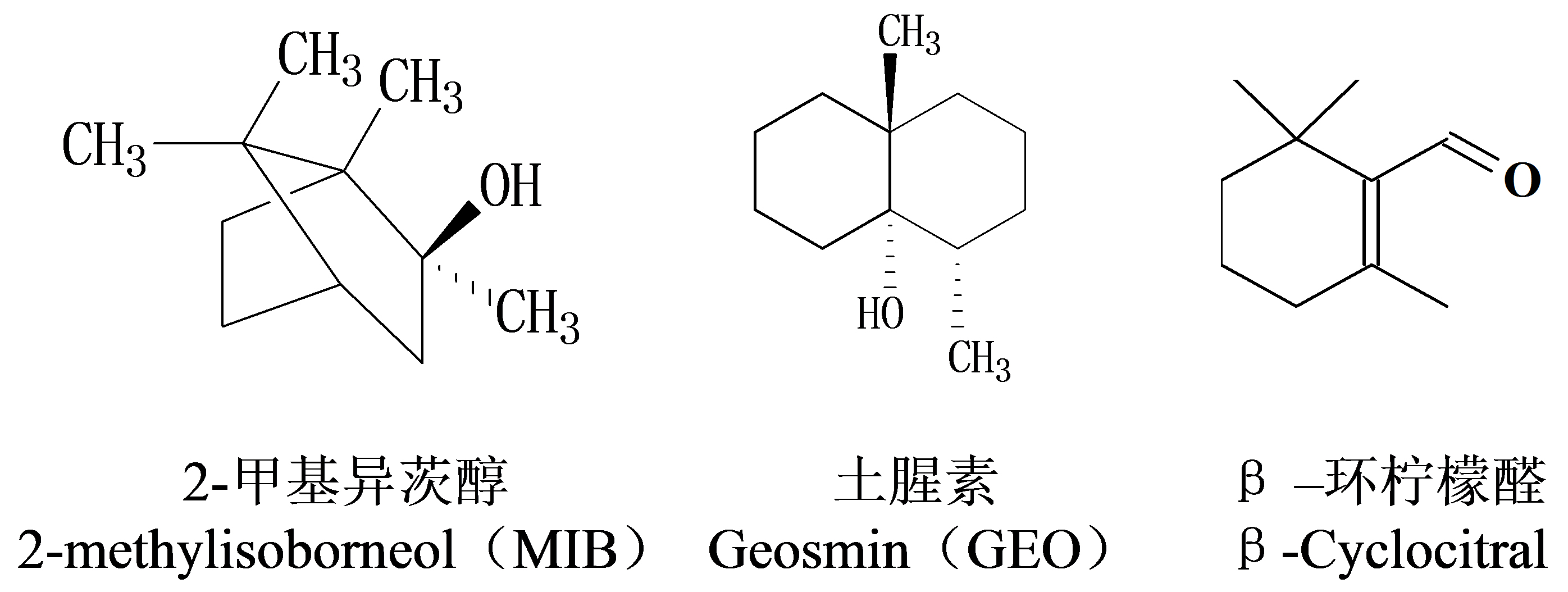 圖1 三種水中常見的異味化合物結構