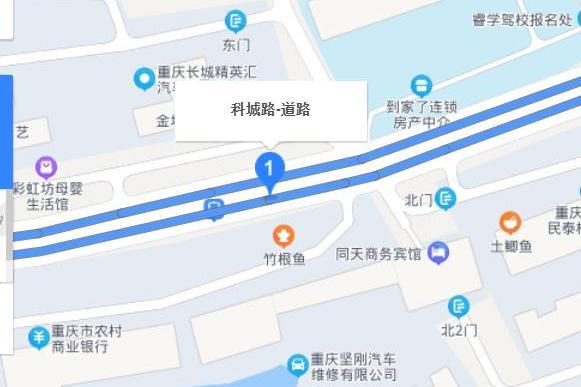 科城路 科城路
