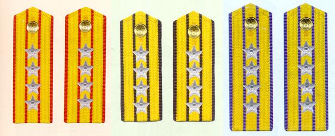 陸海空軍大校常服肩章(1988—2007)