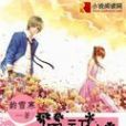 櫻初心 櫻初心