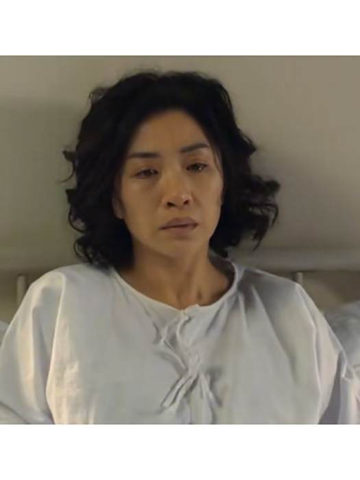 林寶燕 林寶燕