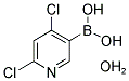 2,4-二氯吡啶-5-硼酸水合物