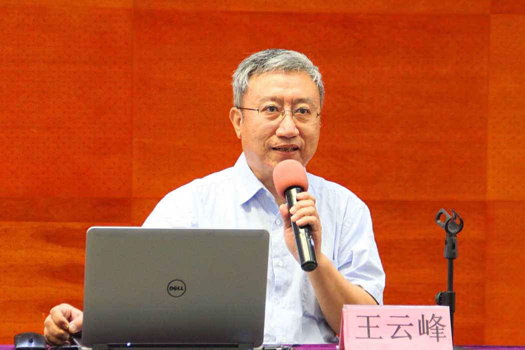 王雲峰(首都師範大學初等教育學院教授)