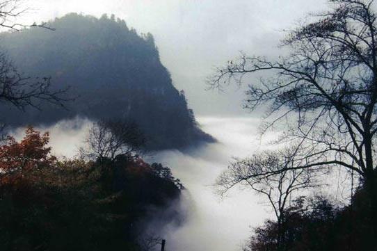 新莊坪遺址 新莊坪遺址