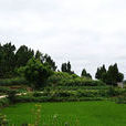 棚安村 棚安村