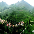 岔溝村(雲南省曲靖市會澤縣樂業鎮岔溝村) 岔溝村(雲南省曲靖市會澤縣樂業鎮岔溝村)