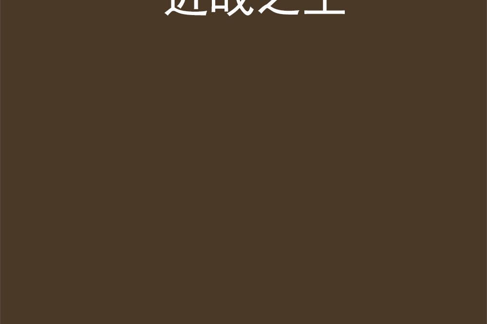 近戰之王(神禍創作的網路小說)