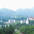 大爛壩村 大爛壩村