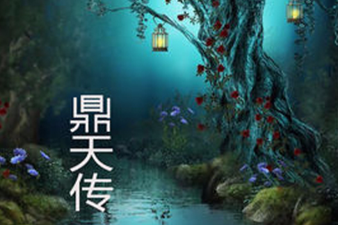 鼎天傳 鼎天傳