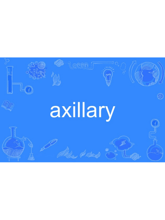 axillary axillary