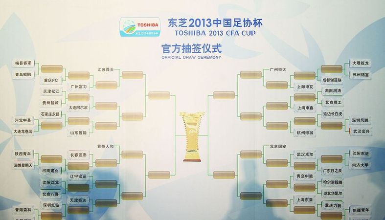 2013年中國足協杯