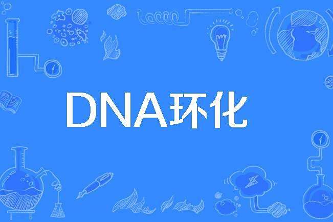 DNA環化 DNA環化