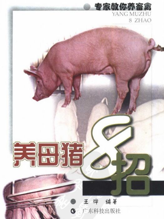 養母豬8招 養母豬8招