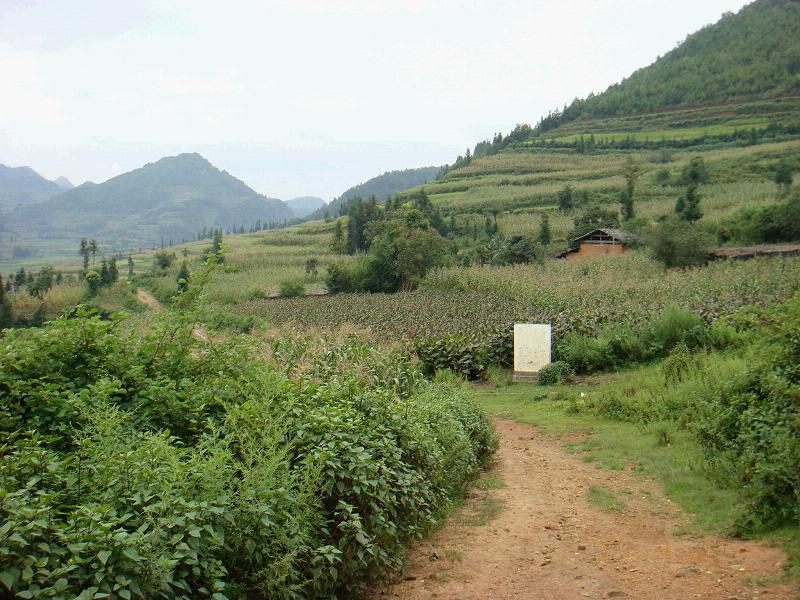 大田灣村 大田灣村