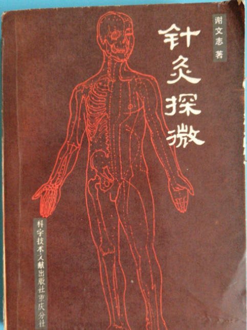 針灸探微 針灸探微