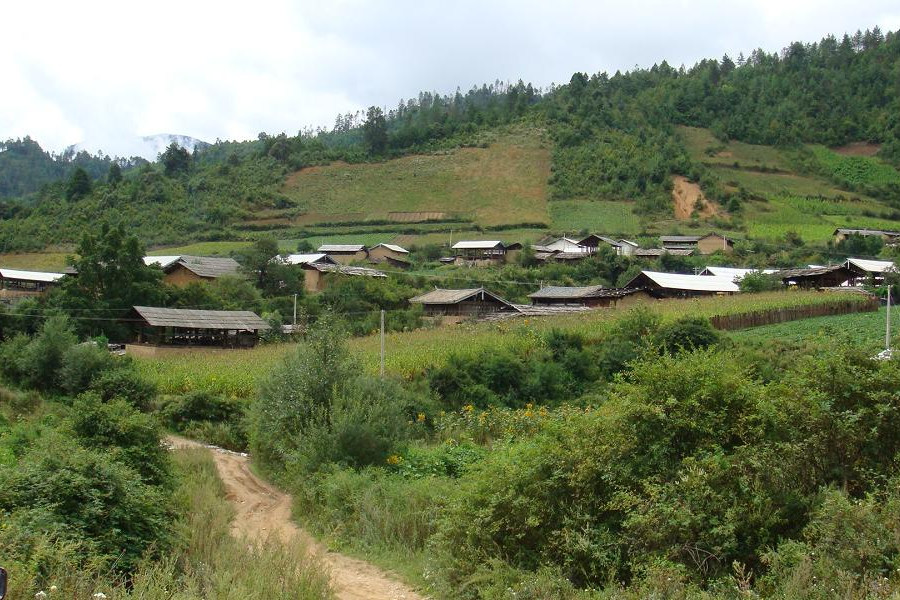 核桃樹村(元江縣青龍廠鎮假莫代村民委員會下轄村) 核桃樹村(元江縣青龍廠鎮假莫代村民委員會下轄村)
