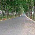 丁家官莊村