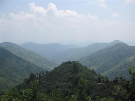 秧佑村 秧佑村
