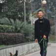 遛雞哥 遛雞哥
