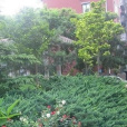 知春路小區 知春路小區