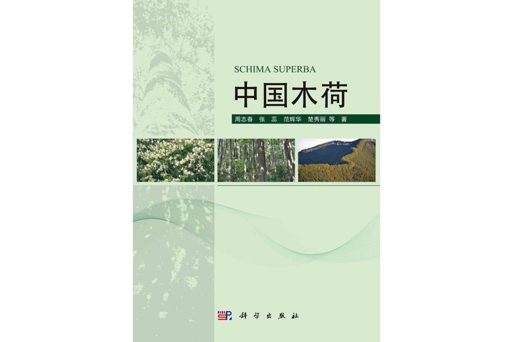 中國木荷 中國木荷
