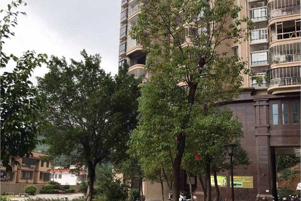 祥雲御景 祥雲御景