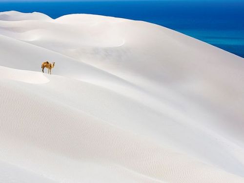 葉門銀色沙漠