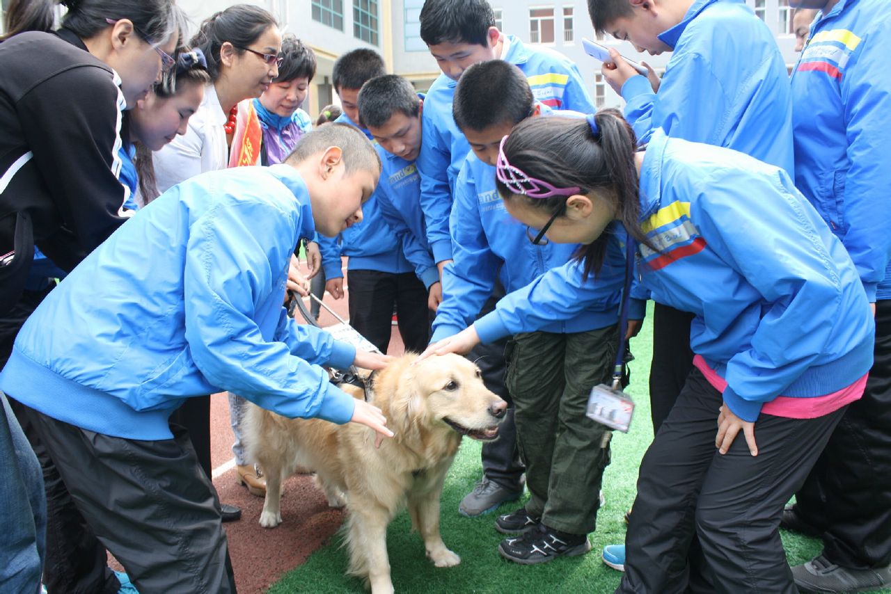 導盲犬進校園活動