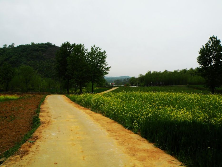 劉先莊村