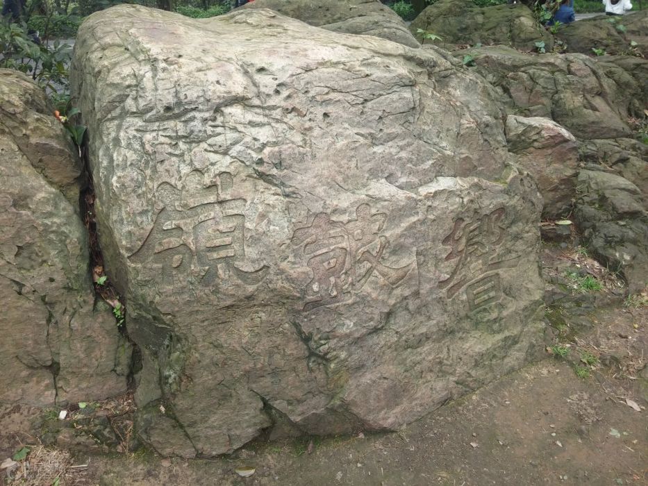 嶽麓山組 嶽麓山組