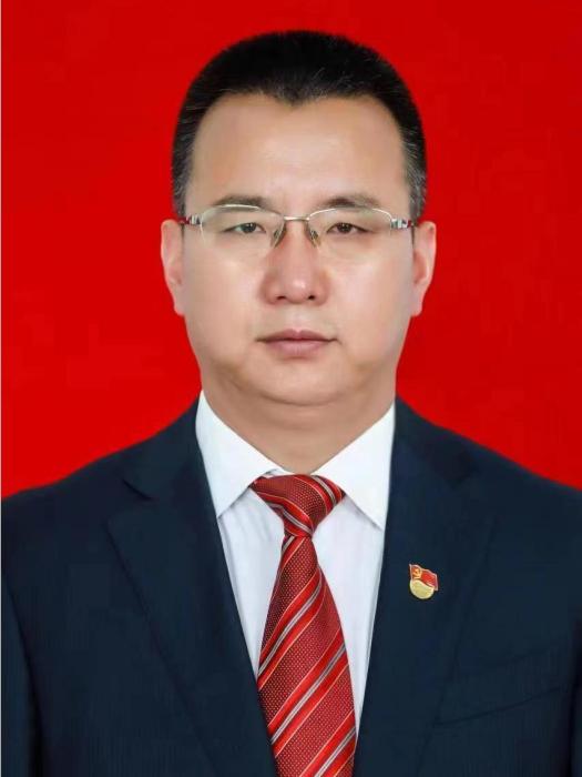 王宏(山西省大同市新榮區花園屯鎮黨委書記、人民政府副區長)