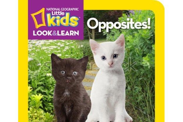 National Geographic Kids Look and Learn: Opposites! National Geographic Kids Look and Learn: Opposites!